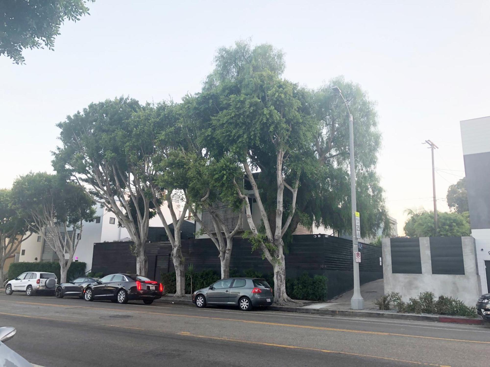 Holiday home Skydeck House In Venice With Rooftop, Parking, 2bd, 2bath, Steam Sauna