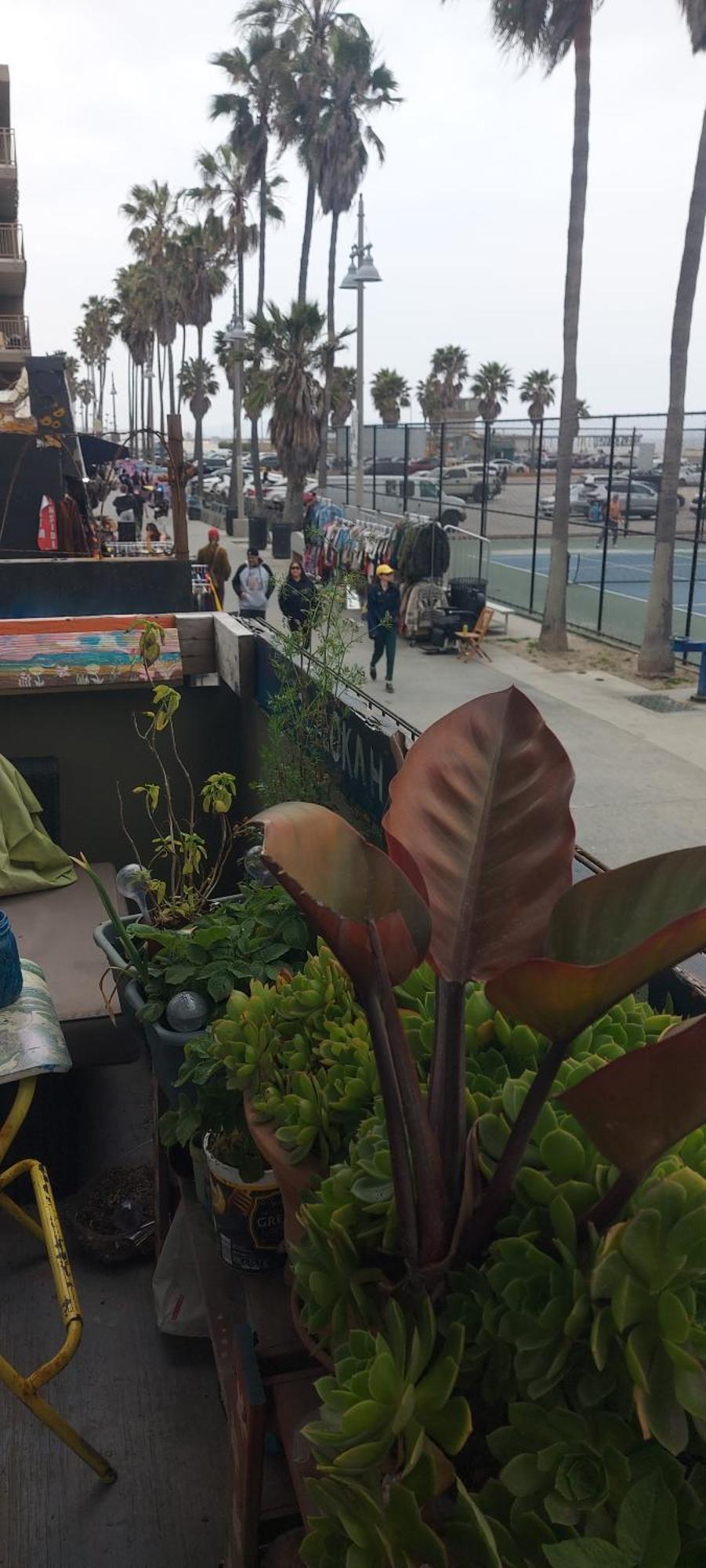 Ocean Front Vortex Female Private Free Bikes Los Angeles