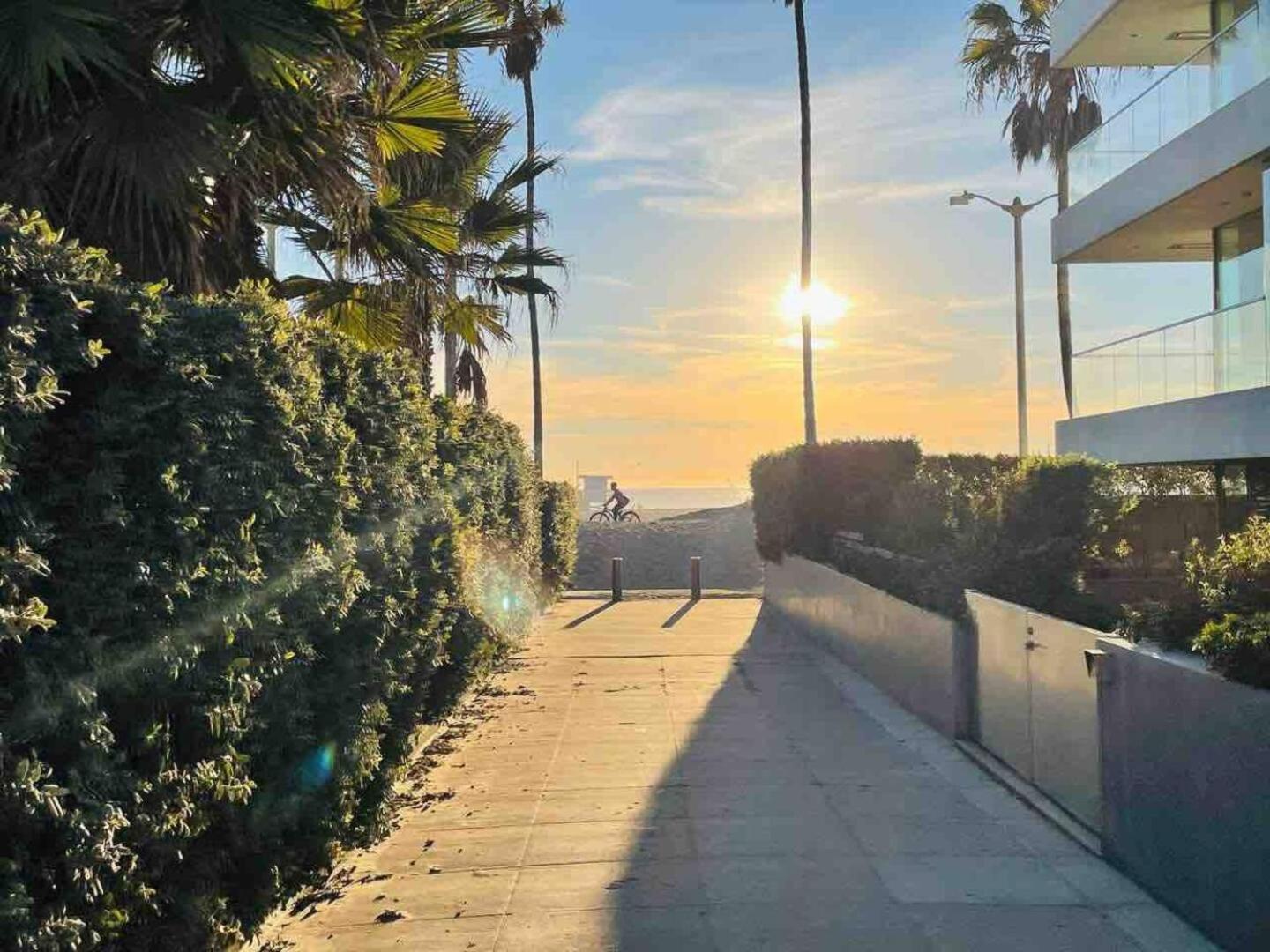 1bd Modern Venice 12b Apartment Los Angeles