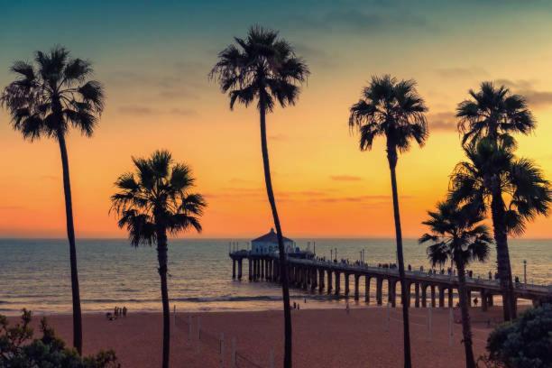 Apartment Splendid 2br, 2ba 12 Min Walk To Sm Pier! *