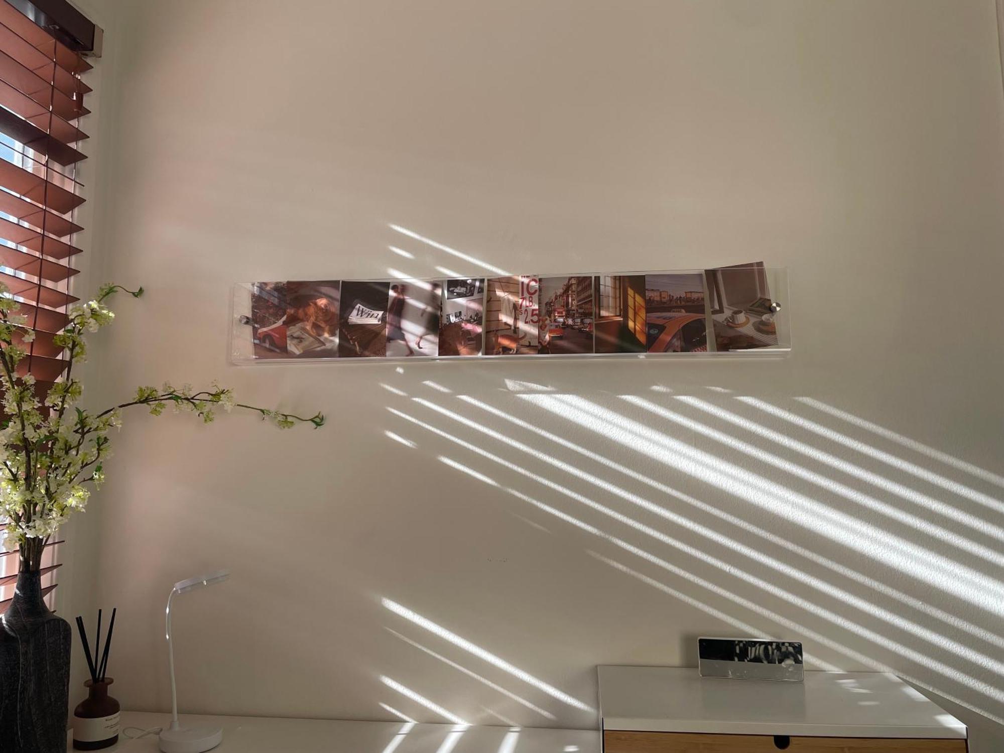 Coastal Comfort In West Angeles Homestay Los Angeles
