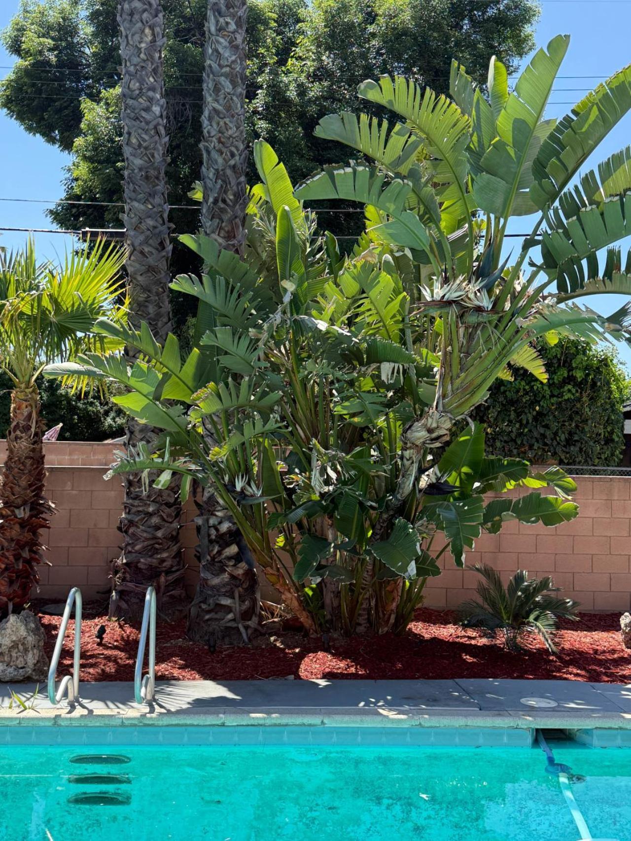 Holiday home Lovely 4br Family Haven With Pool And Backyard -fal-uc Los Angeles