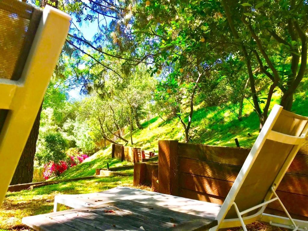Hollywood Hills Retreat With Jacuzzi Style Tub, Steam Room, Tree-top Views Garden Patio Holiday home Los Angeles