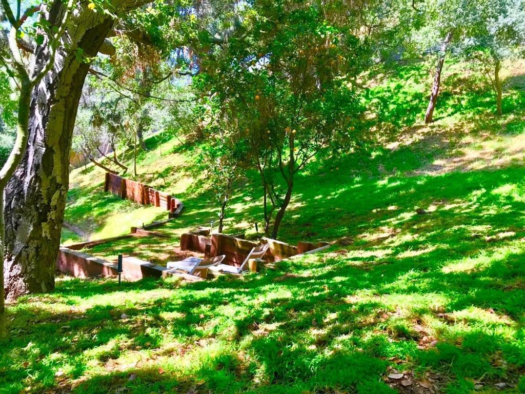 Holiday home Hollywood Hills Retreat With Jacuzzi Style Tub, Steam Room, Tree-top Views Garden Patio