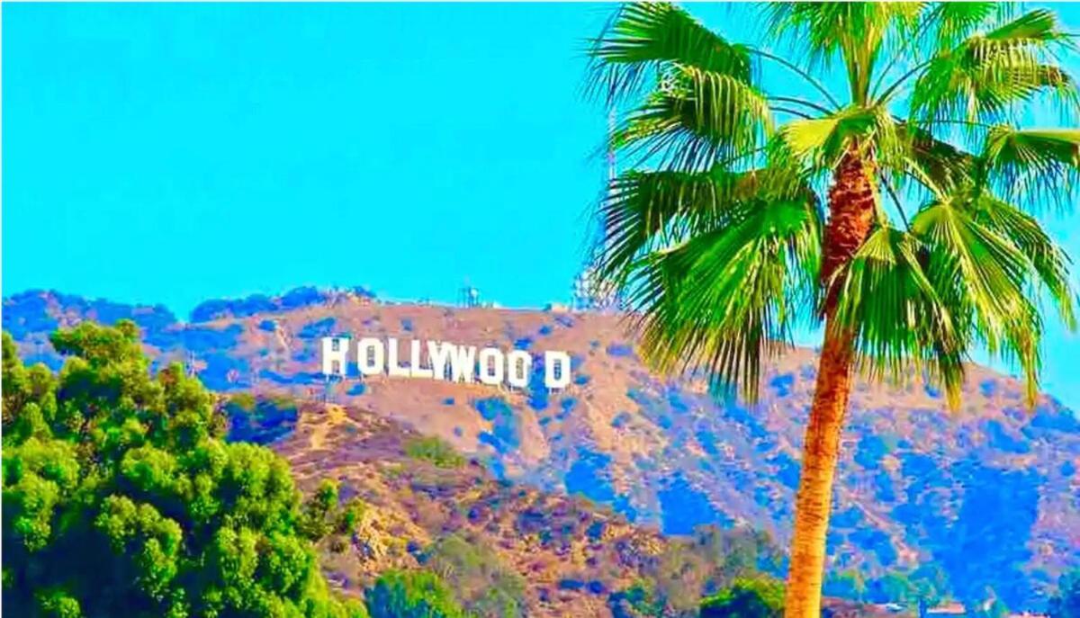 Hollywood Hills Retreat With Jacuzzi Style Tub, Steam Room, Tree-top Views Garden Patio Holiday home