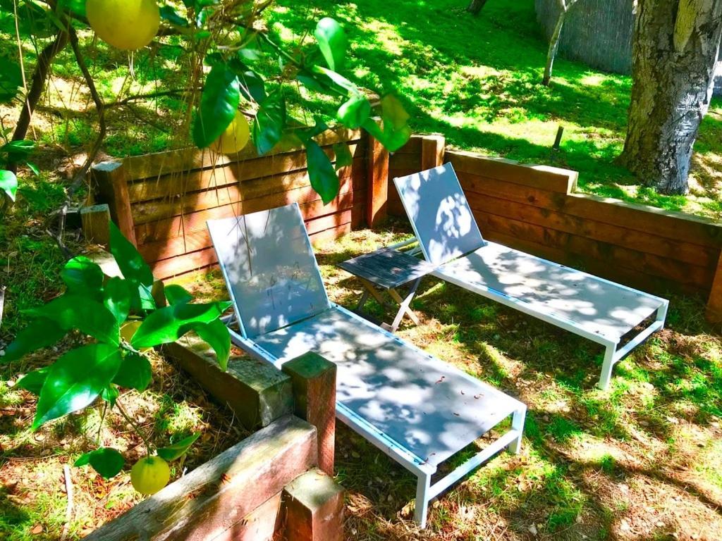 Hollywood Hills Retreat With Jacuzzi Style Tub, Steam Room, Tree-top Views Garden Patio *