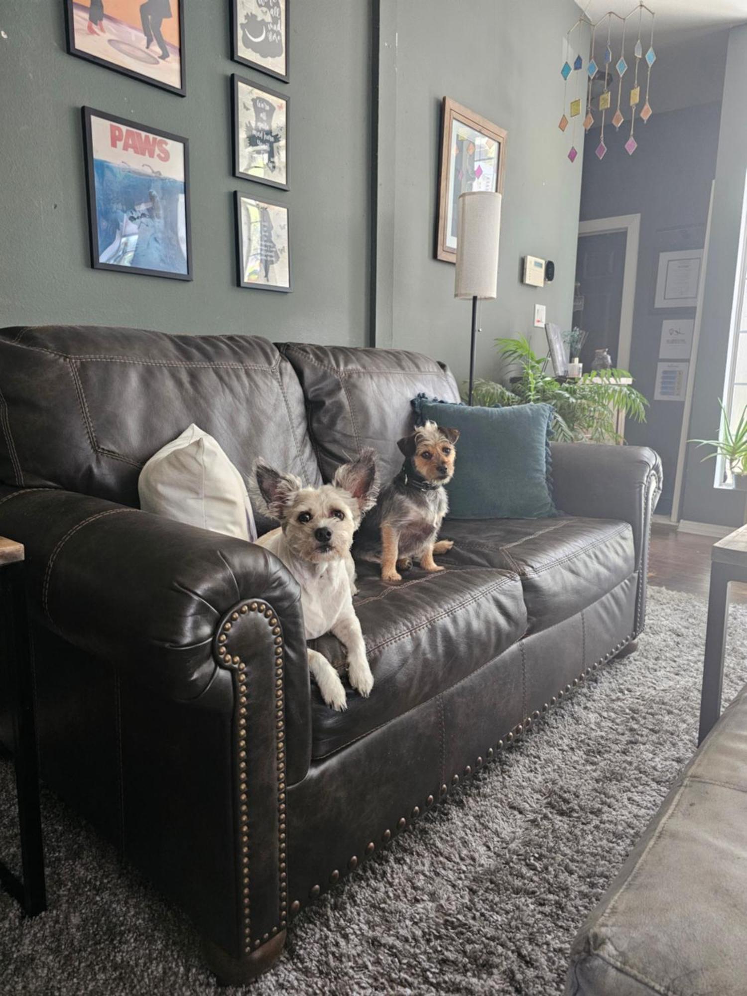 Homestay Tranquility At The House Of Alchemy Hollywood