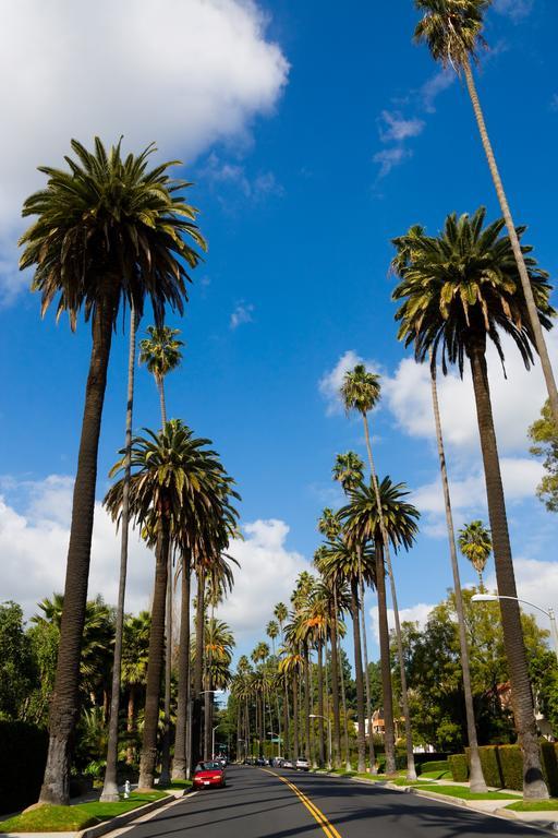 Blvd & - Walking Distance To Hollywood Walk Of Fame (adults Only) Los Angeles