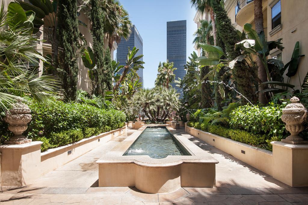 Sunshine At The Piero * Los Angeles