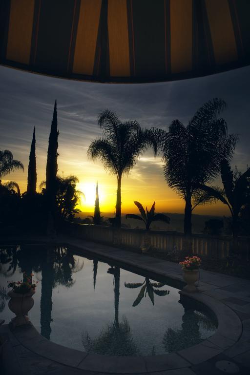 The Sophia Guest house