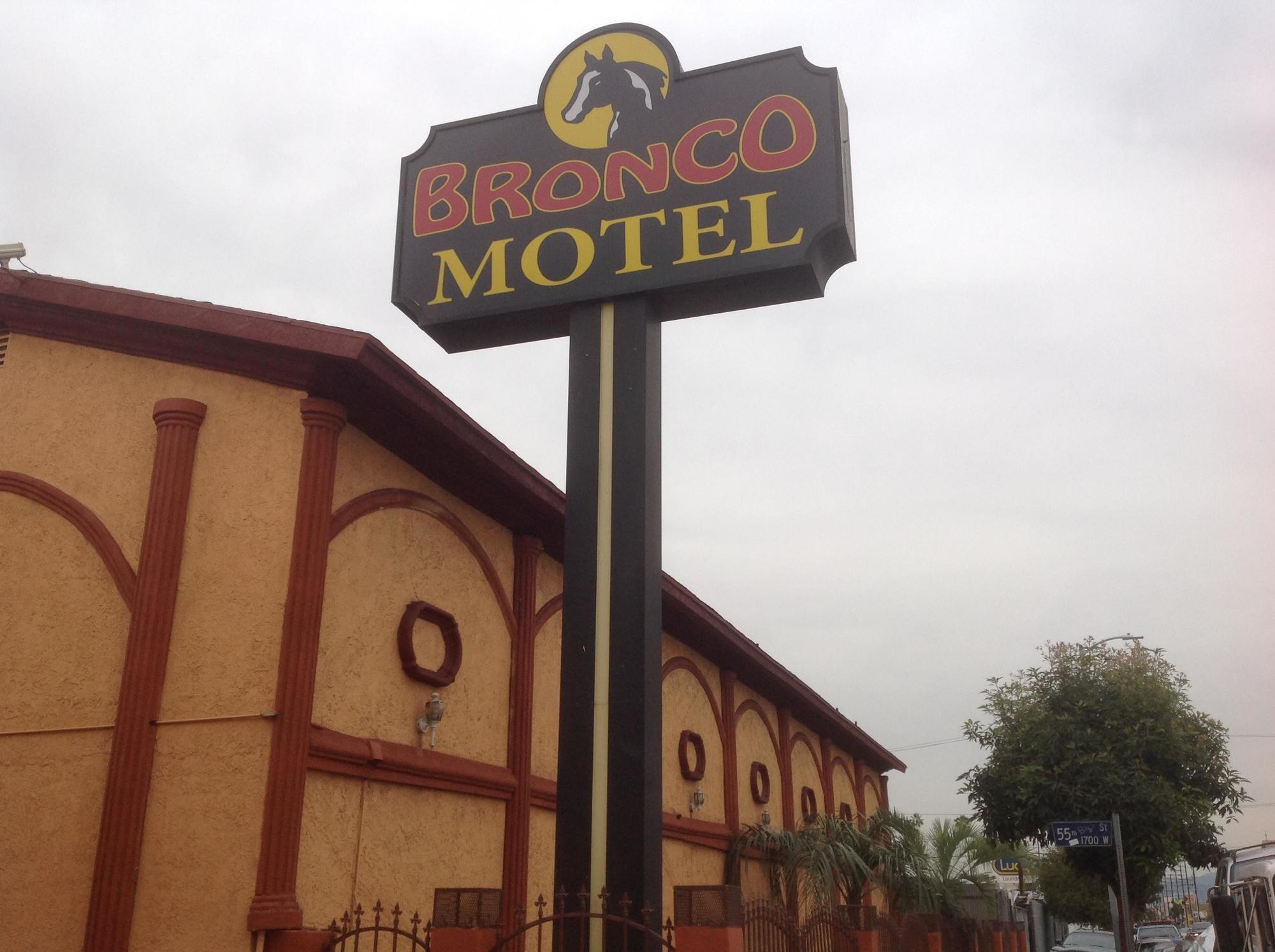 Bronco *