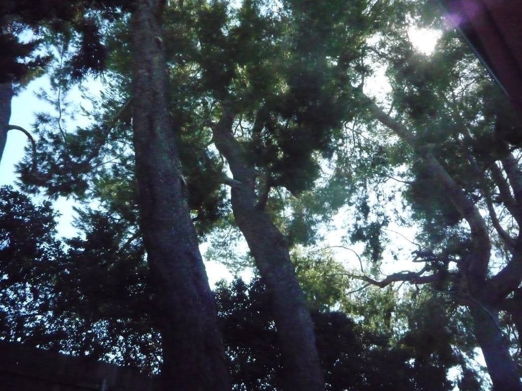 Guest house Woodland Hills Calabasas Guesthouses 3*