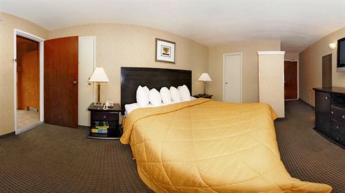 Solaire Angeles Los Angeles