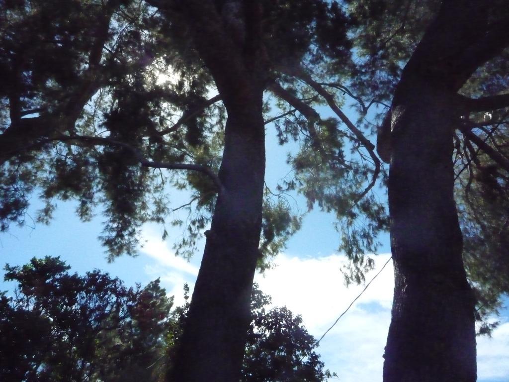 Guest house Woodland Hills Calabasas Guesthouses