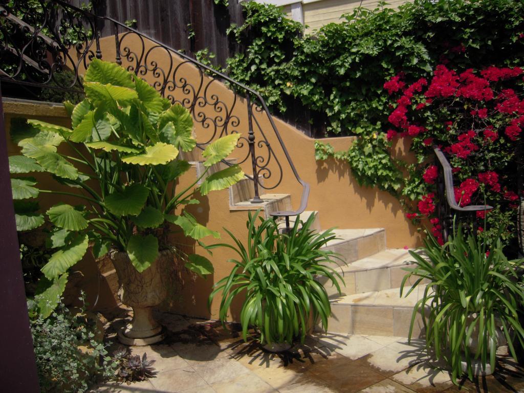 Bel Air Guest house