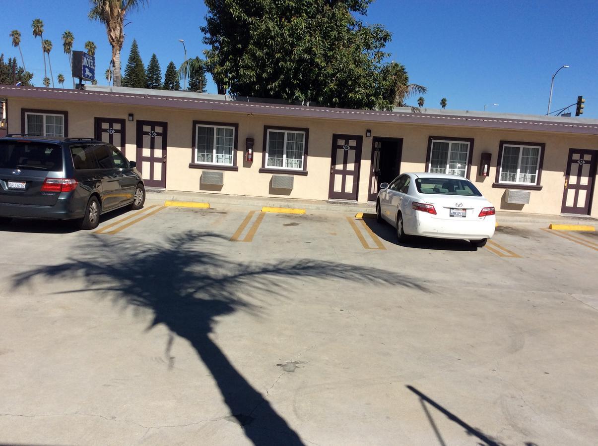 Motel Stallion