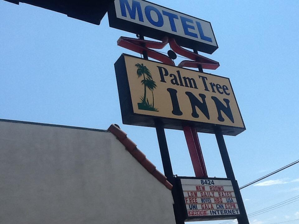 Motel Palm Tree Los Angeles