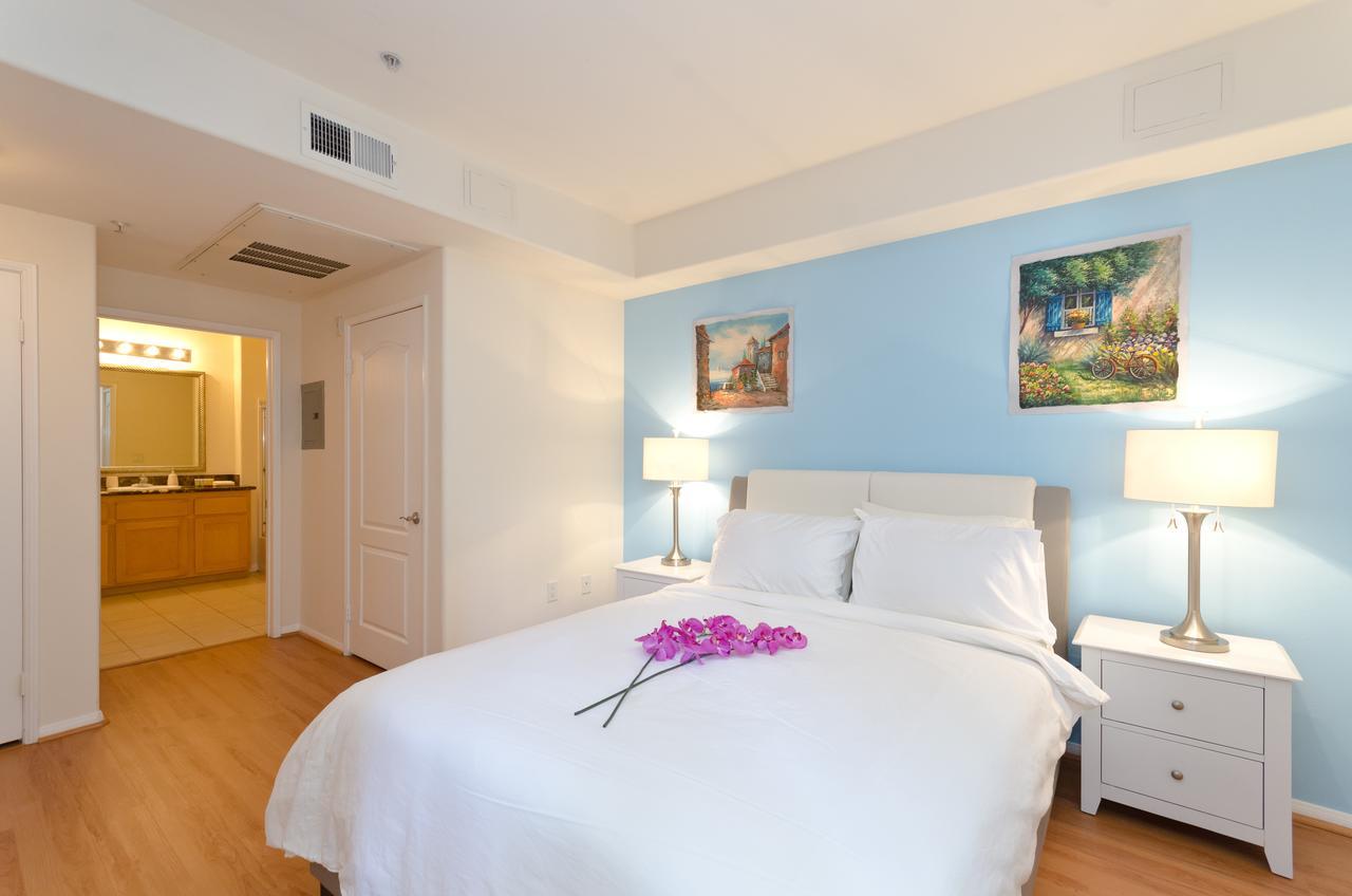 Luxury Oasis Apartment