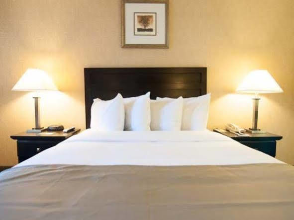 Solaire Angeles 2*