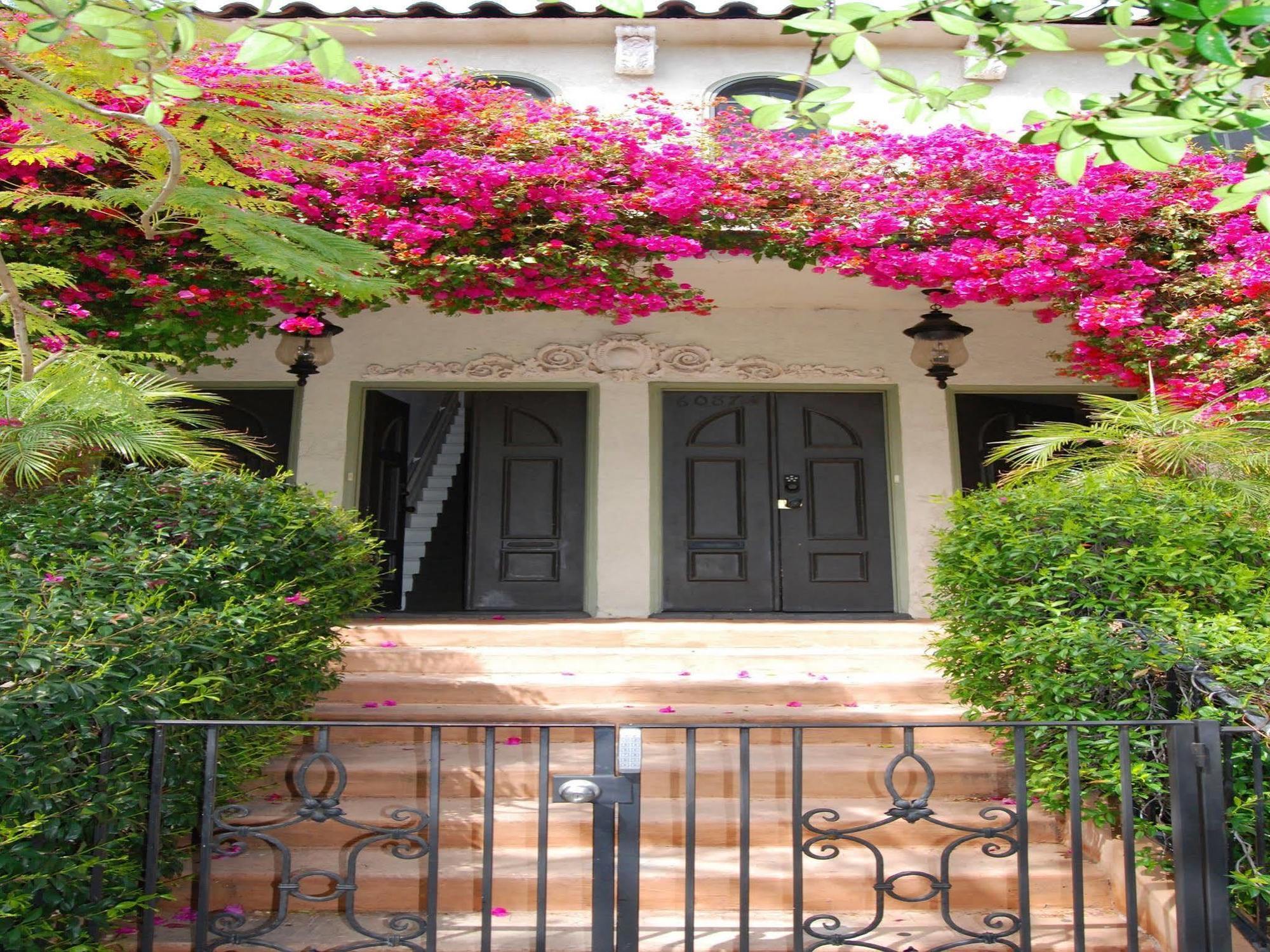 Delle Stelle Hotel