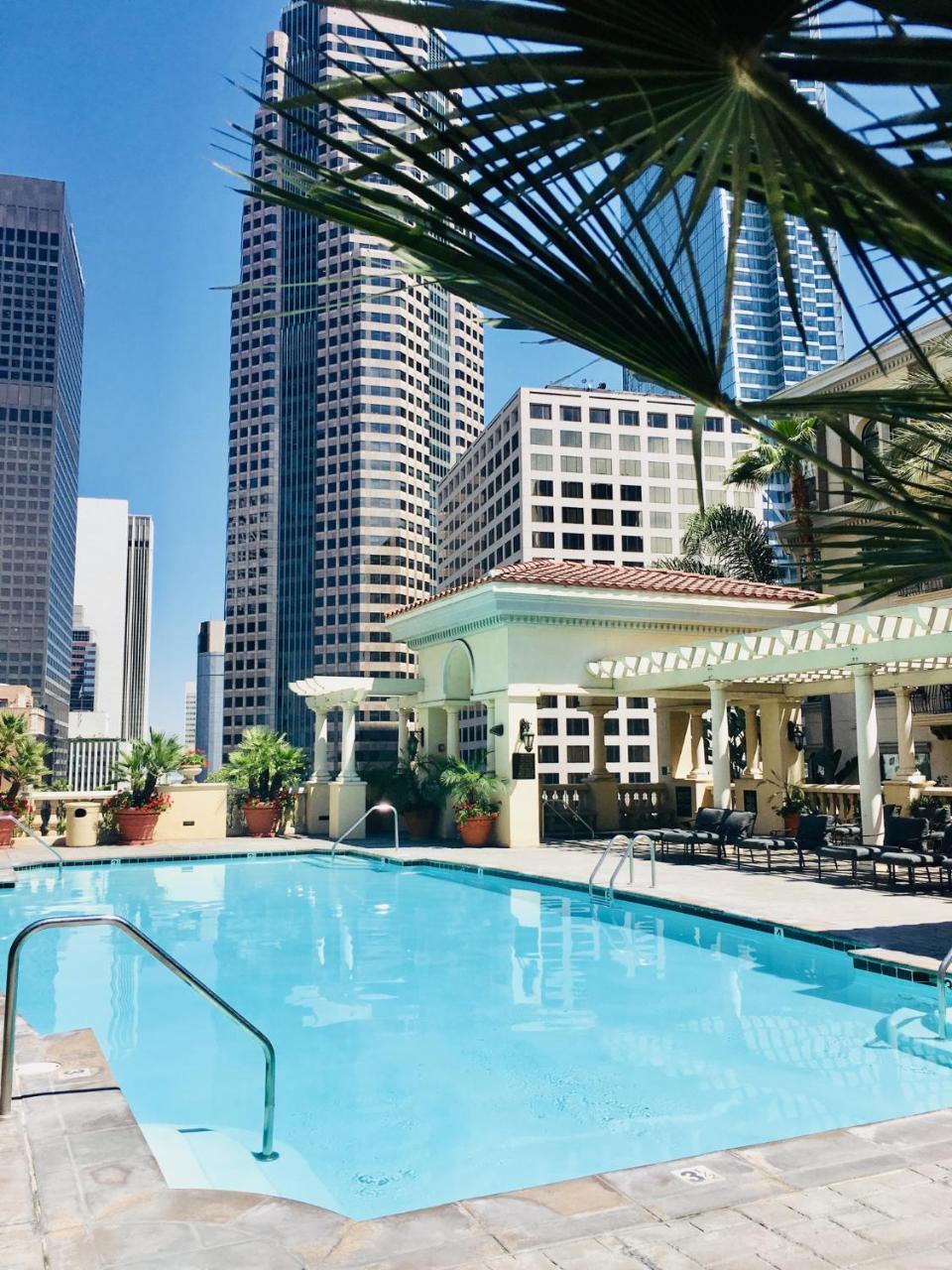 New Luxury Dt La Apt- Pool, Gym, Staple Center Los Angeles