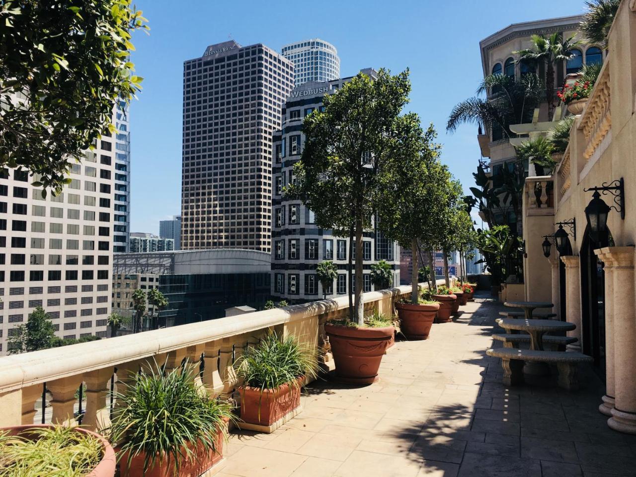 Apartment New Luxury Dt La Apt- Pool, Gym, Staple Center Los Angeles