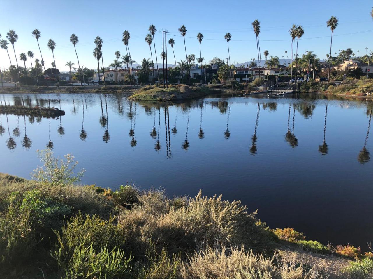 Apartment Masterpiece View In Marinadelrey/venice Beacg *