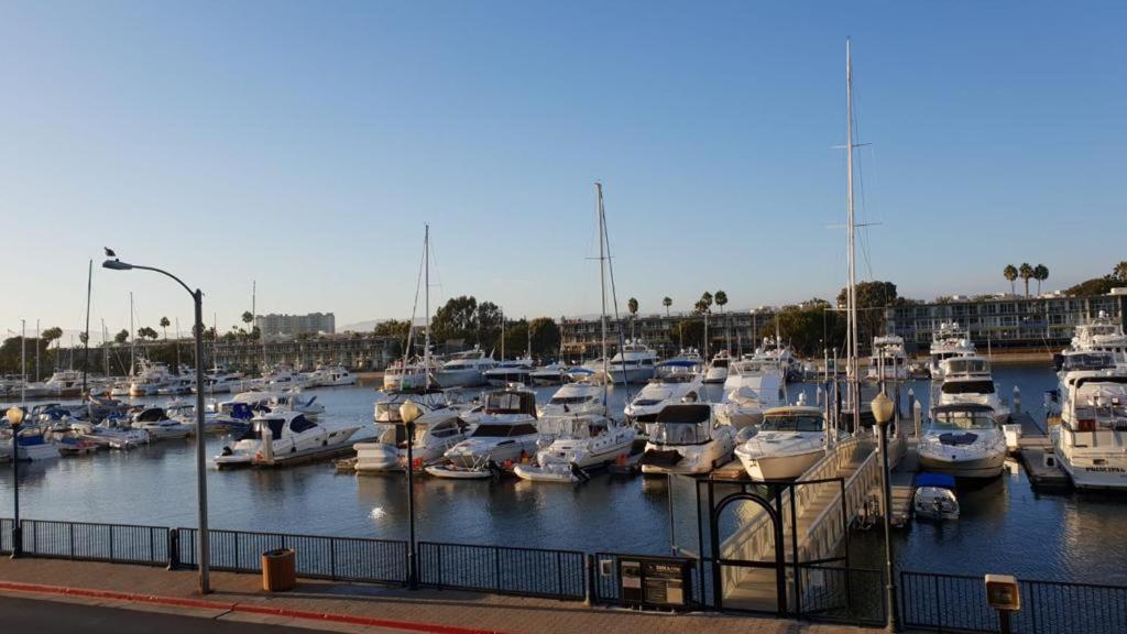 Masterpiece View In Marinadelrey/venice Beacg * Los Angeles