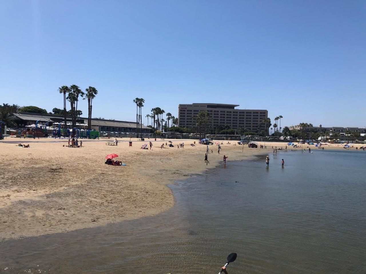 Masterpiece View In Marinadelrey/venice Beacg Apartment