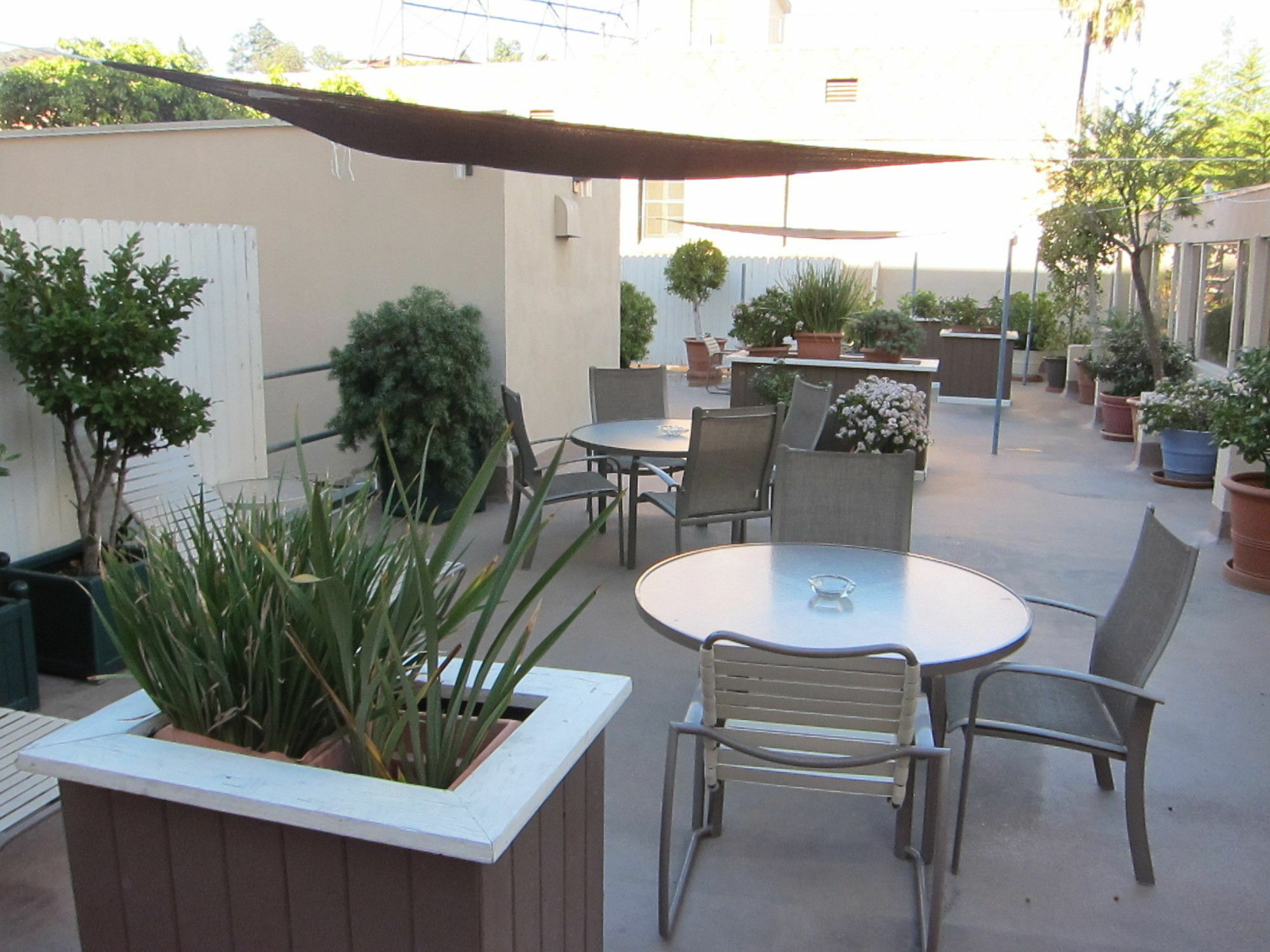 Hollywood Orchid 2*