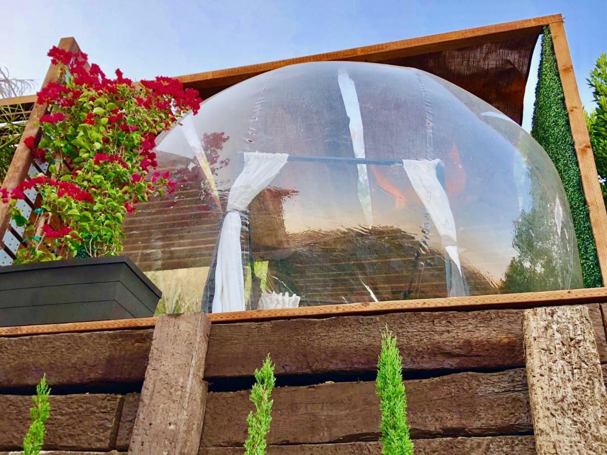 Luxury tent Sky Bubble *