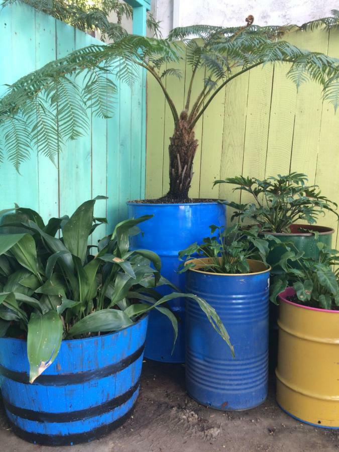 Apartment Tropical Bohemian One Bedroom In The Hollywood Hills
