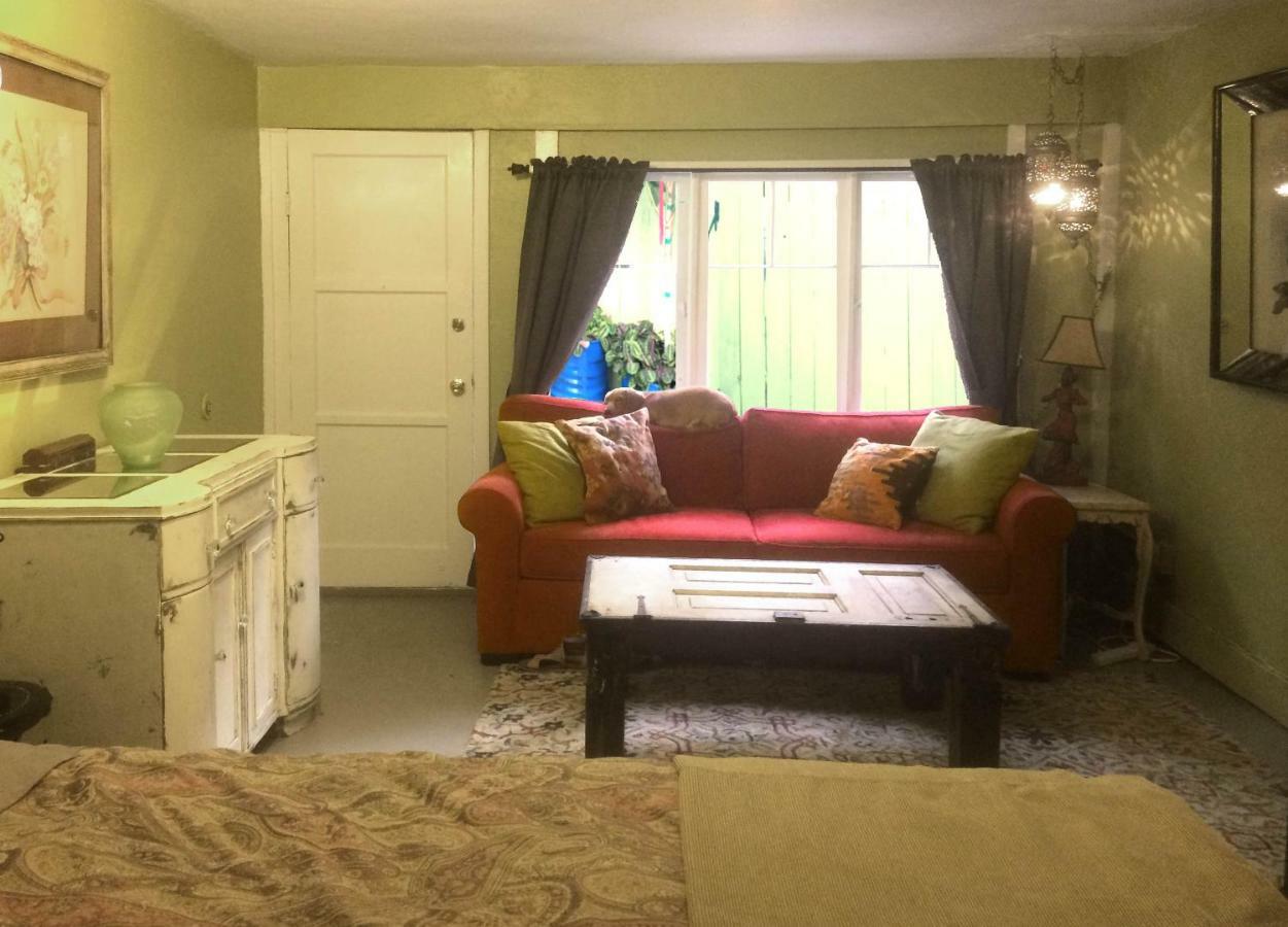 Tropical Bohemian One Bedroom In The Hollywood Hills Apartment Los Angeles