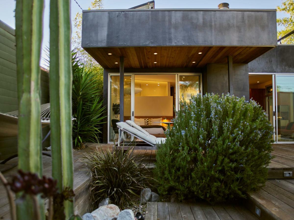 Cactus Flower * Los Angeles