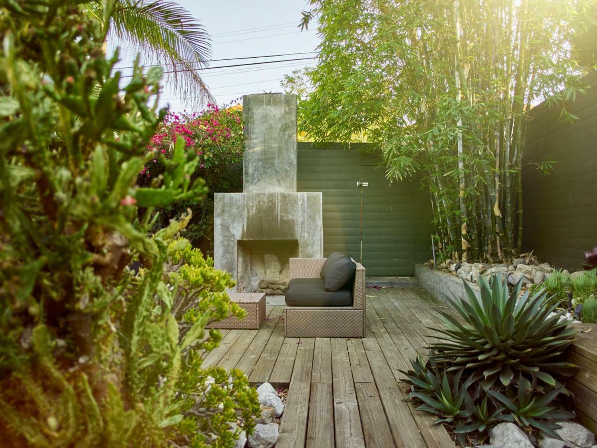 Cactus Flower Los Angeles