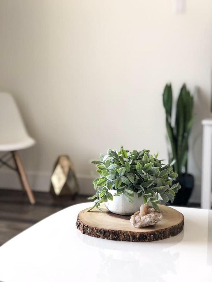 Apartment Modern & Chic Luxury