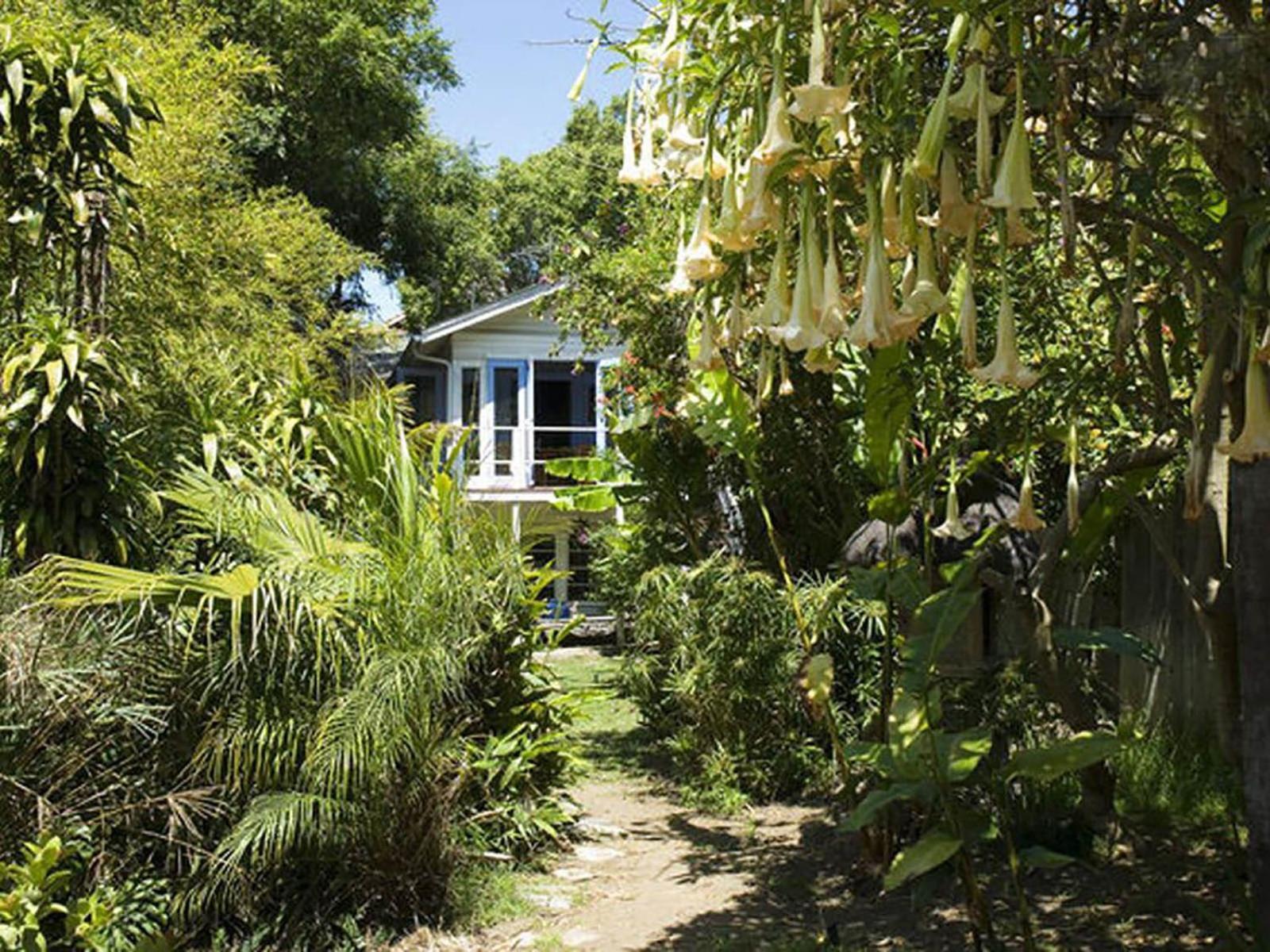 Tropical Bohemian One Bedroom In The Hollywood Hills