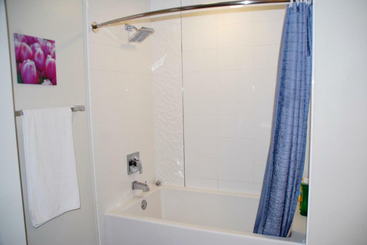 Luxury Style 1br + Parking, Pool, Gym *