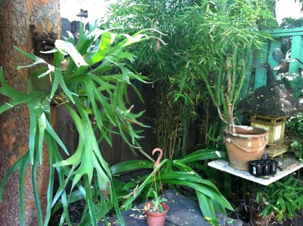 Tropical Bohemian One Bedroom In The Hollywood Hills Apartment Los Angeles
