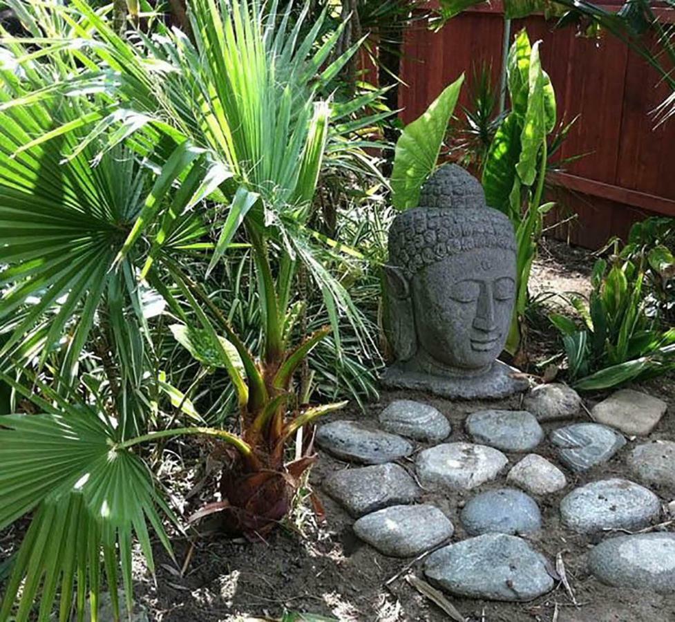 Tropical Bohemian One Bedroom In The Hollywood Hills Apartment Los Angeles