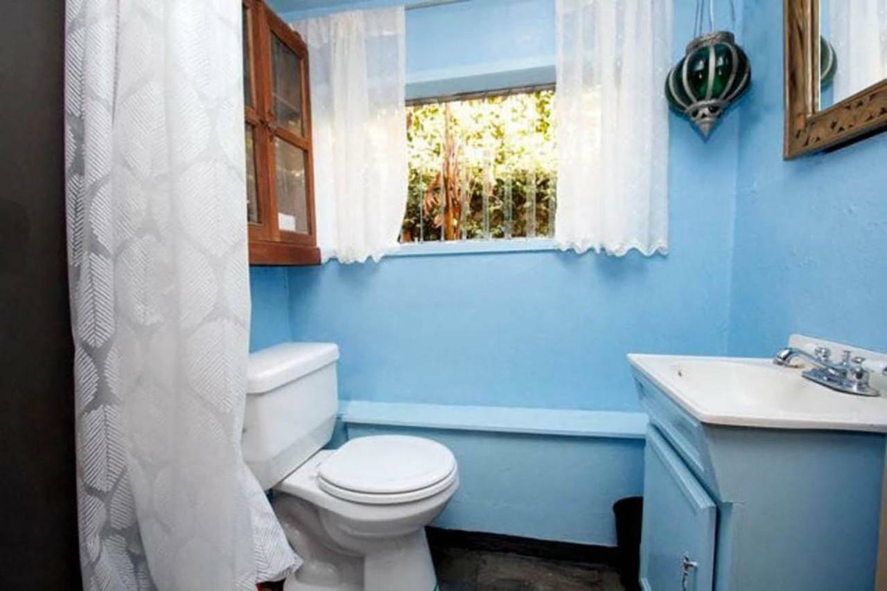Apartment Tropical Bohemian One Bedroom In The Hollywood Hills