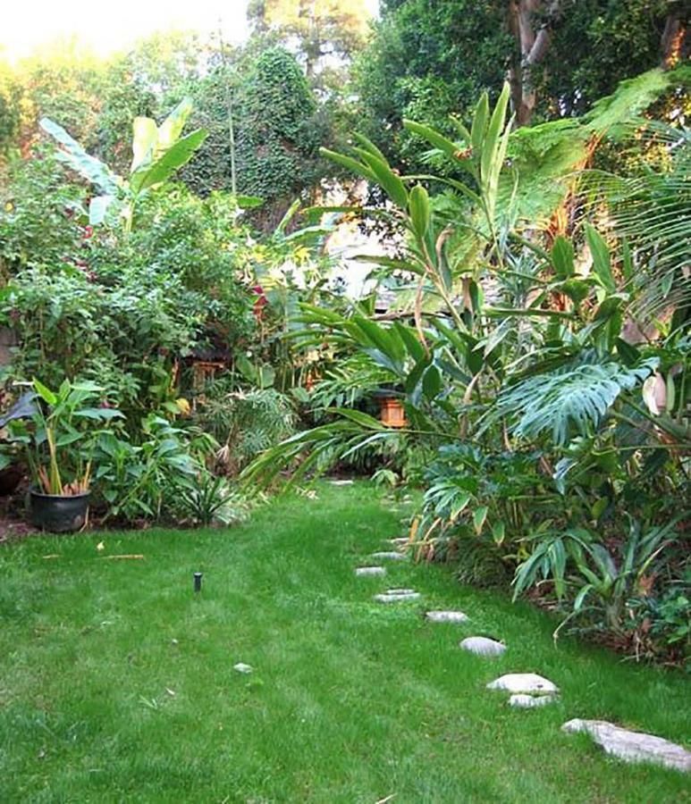 Tropical Bohemian One Bedroom In The Hollywood Hills *
