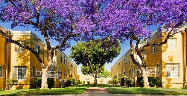 2 Bedroom With A View Near The Grove Apartment Los Angeles
