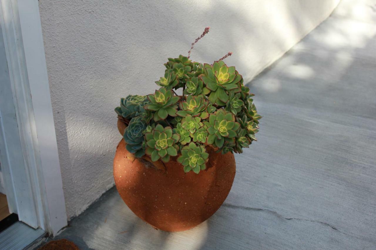Private Guest In West Angeles Los Angeles