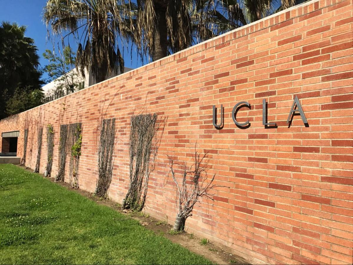 Low Price & Pool Open Walk To Ucla Free Parking B1