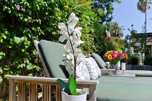 Venice One Bedroom Artist Apartment *