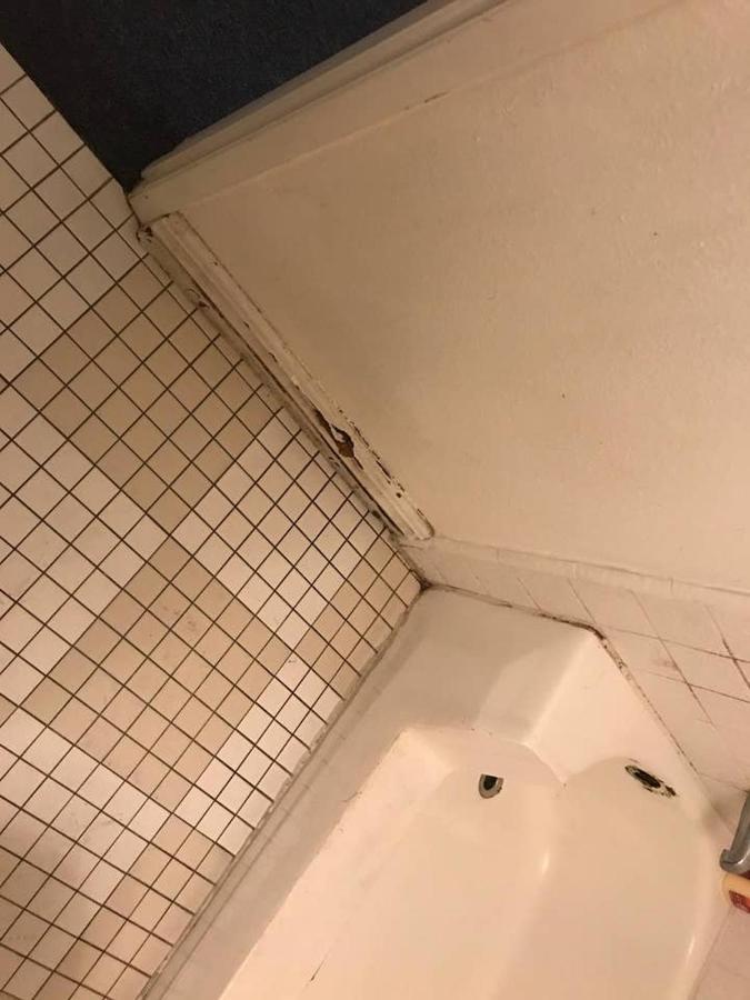 Hotel Budget Beverly Hills Suites