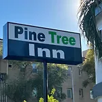 Pine Tree Inn