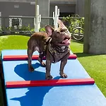 Melrose 2Br W Gym Pool Nr Walk Of Fame Lax-723