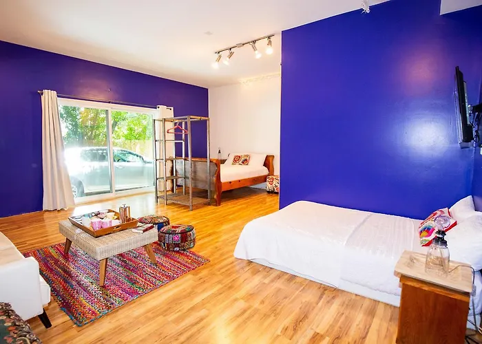 The Treehouse, Bel Air - A Vegan Villa